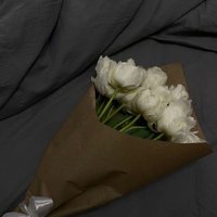 Fatma Hassan (@fatmahassa38014) Twitter profile photo