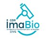 GDR_ImaBio's profile picture. 🔬 Animating the #french #community of #scientists and #companies involved in #microscopy and #imaging for #biology 

👉 https://t.co/cztsXhgz4S
