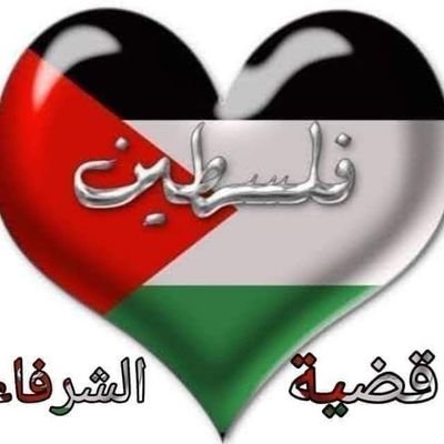بكالوريوس زر اعه جامعه القاهره