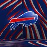 GenaTerzieff13's profile picture. #Buffalobills🏈#BillsMafia    #GoBills #Sabres #LetsGoBuffalo