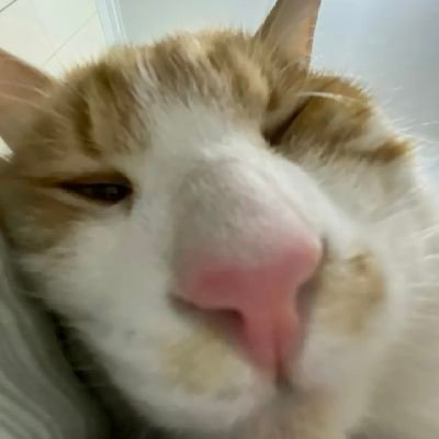 baiyu676656's profile picture. 