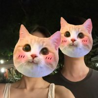 gnap (@zen_seravee) 's Twitter Profile
