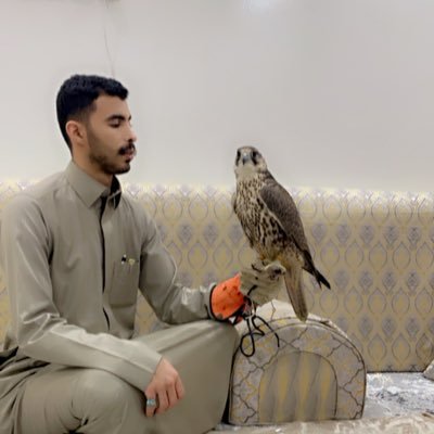 fa__qd's profile picture. 