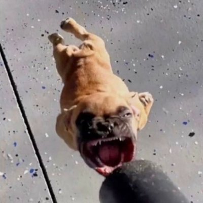 meschalfaro's profile picture. "bye i love you, goodnight!! 🤍"