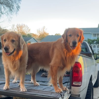 jacksonperry36's profile picture. 