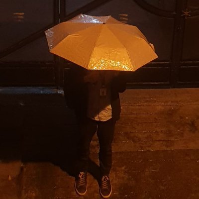 joel_the_ai's profile picture. artist/dev (learning rust and effect ts)