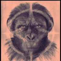 Laughing_Stonk (@laughing_stonk) 's Twitter Profile Photo
