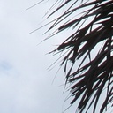 Glenn Werner - @WernerGlenn - Twitter