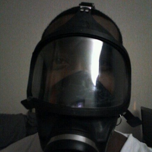 whoshots's profile picture. 