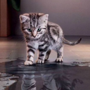 Nick Good - @NGood4192 - Twitter