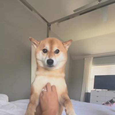 bvava_'s profile picture. 