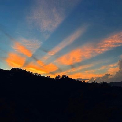 Seanlee825369's profile picture. 