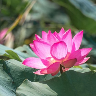 人間讃歌 / 神は細部に宿る