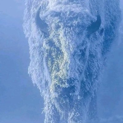 Murat Tercan Profile