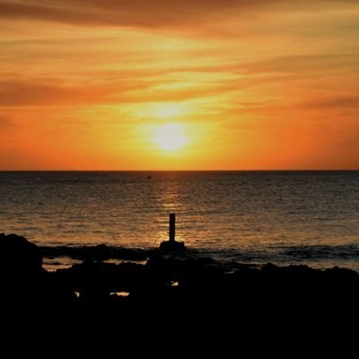 Aurinegro desde la cuna, Arquitecto de profesión. Pasión por la fotografía y el fútbol.