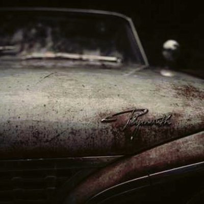 LaylaShaun90432's profile picture. 