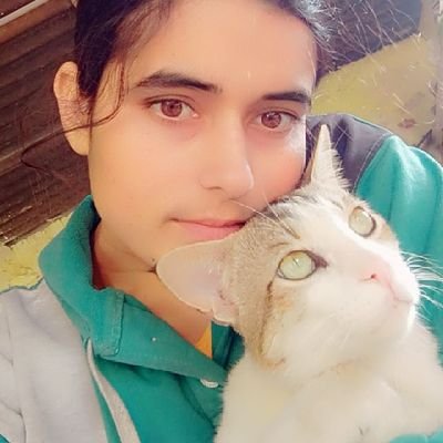 PoonamBeniwal29's profile picture. software developer