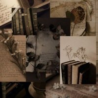 Mohammedin (@mmdynbdllh1) 's Twitter Profile