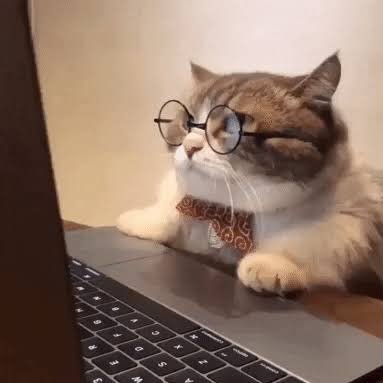 ThunderShill4's profile picture. I shill, and I purr. And take long naps.