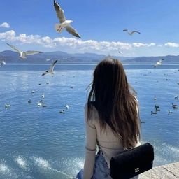 ZenZoom266819's profile picture. 