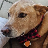 Wokatee (@spratleyjustin) 's Twitter Profile