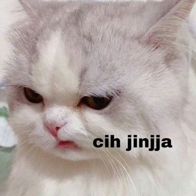 Sbtcleo Profile Picture