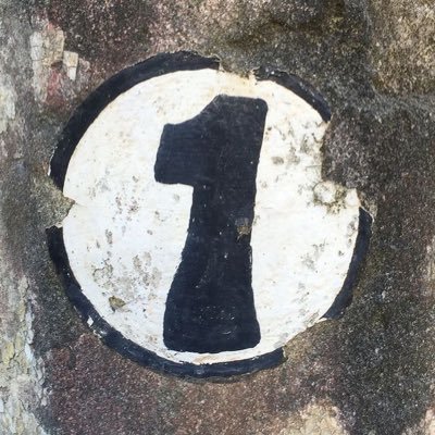 wonishift's profile picture. i tweet once a month #shifttwt🍉