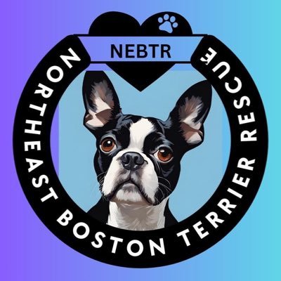 Northeast Boston Terrier Rescue (NEBTR) is comprised of volunteers in NY, NJ, CT, MA, PA, MD, DE & we #rescue #BostonTerrier dogs within our reach.