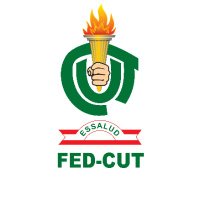 Federación CUT(@FedCut) 's Twitter Profile Photo