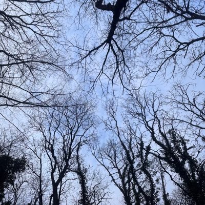 Temel analiz üzerine 26 yıllık borsa yatırımcısı..farkındalık yaratmak adına yaptığım paylaşımlar yatırım tavsiyesi içermez.