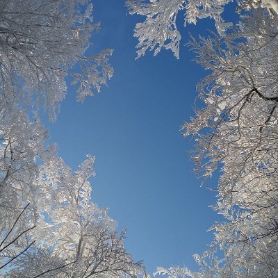 7Largo's profile picture. • Ora Et Labora •
Zdrowie
Przyroda
Technologia 
Fotogia 
Historia 
Człowiek