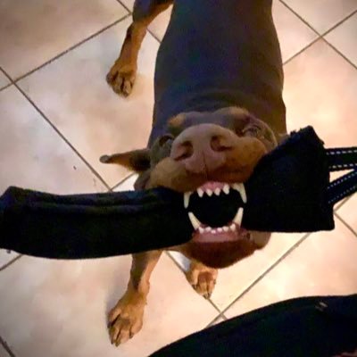 douglas_banker's profile picture. God first. Motivation, positivity, health is wealth. Stay motivated!