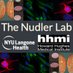 Nudler Lab News (@nudler_lab_news) Twitter profile photo Nudler Lab News (@nudler_lab_news) Twitter profile photo
