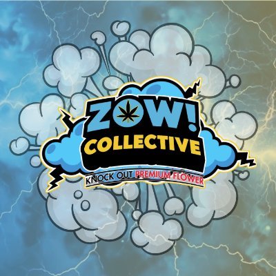ZowCollective Profile Picture
