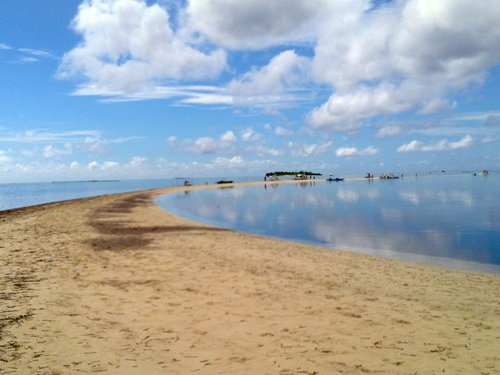 mauzi30's profile picture. 