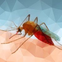 VecDeco - Disease Vector and Disease Ecology RG (@vecdeco_vnl) 's Twitter Profile