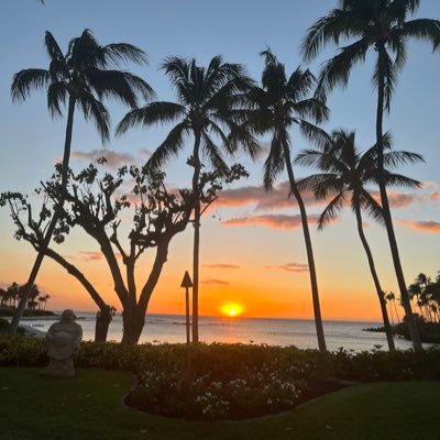 just an ole grumpy veteran living the dream!🏄‍♂️🏖️🌈🌅 Ka’u,Puna & Kona ☕️connoisseur. #GoUtes