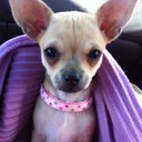 kaleigh jones - @kljones20 - Twitter