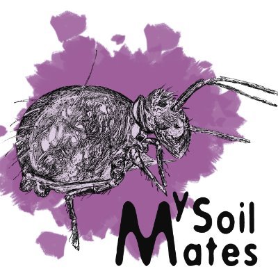 Researchers motivated to divulgate and develop citizen science projects about soil fauna
Protecting and raising awareness about soil biodiversity