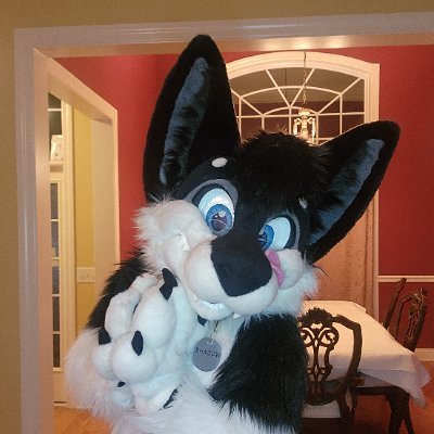 shadow_d_husky Profile Picture