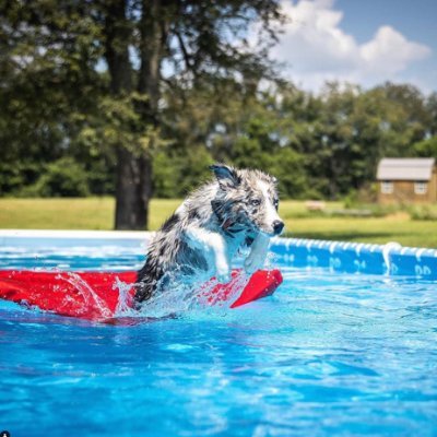 The only high quality, puncture resistant & semi-submersible dog raft/float.  Made in the USA & crafted for easy on/off so your pups can enjoy the water.