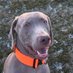 steve Wilkinson (@stephen85191189) Twitter profile photo steve Wilkinson (@stephen85191189) Twitter profile photo