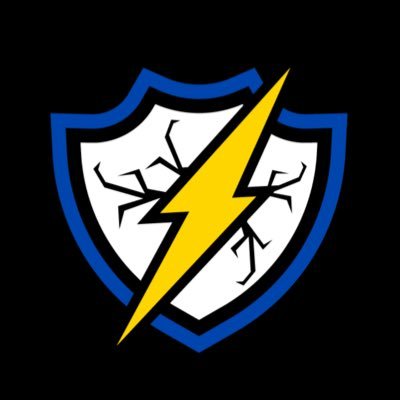 ⚡️¡Furia eléctrica en el juego! 📧Business contact: Lightningesports.off@gmail.com #SomosLightning