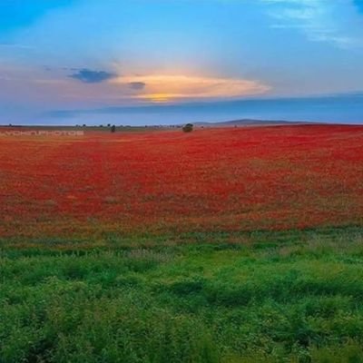 Vatanını en çok seven işini en iyi yapandır ..

Vatan🇹🇷 ve Millet🇦🇿 Sevdalısı..

Rt/Fav onay değildir.