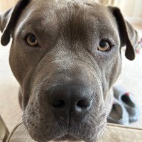 Thomas Locker (@telocker) 's Twitter Profile