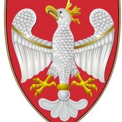 Patriota🇵🇱, nacjonalista🗡️, Katolik✝️, tradycjonalista👑
Miewam przejawy rasizmu i antysemityzmu
Prezes @NarodowaPrawica 
Czołem Wielkiej Polsce!🇵🇱