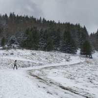 Hysto (@imhysto) 's Twitter Profile