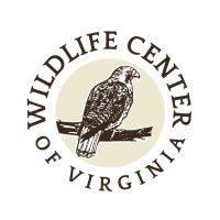 Wildlife Center VA(@WCVtweets) 's Twitter Profile Photo