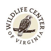 Wildlife Center VA (@wcvtweets) Twitter profile photo