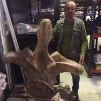 Rafael Royo Torres (@royotorresr) 's Twitter Profile